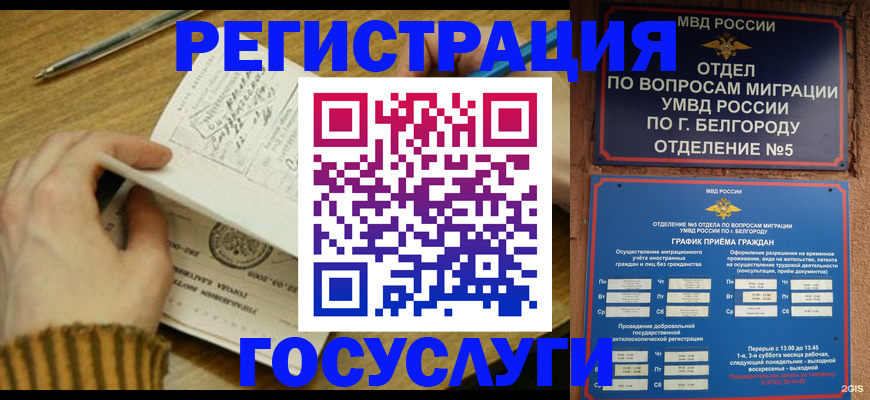 прописка иностранных граждан в Новороссийске